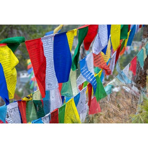 Bhutan-Thimphu Colorful prayer flags on mountain top at the Sangaygang Geodetic Station